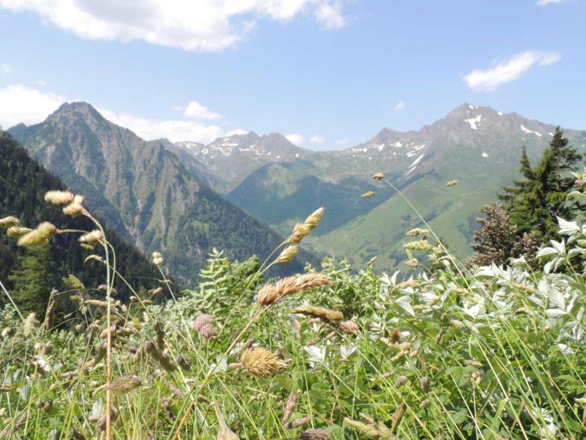 Studio Cauterets, 1 pièce, 4 personnes - FR-1-234-269 Extérieur photo